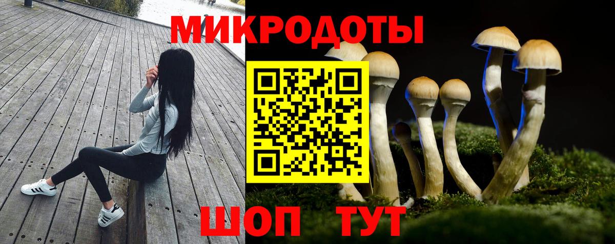 Ржев  Галлюциногенные грибы Psilocybine cubensis  Вход с VPN 